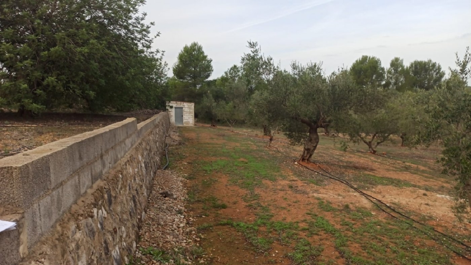 till salu tomt Anna Canal De Navarrés 2