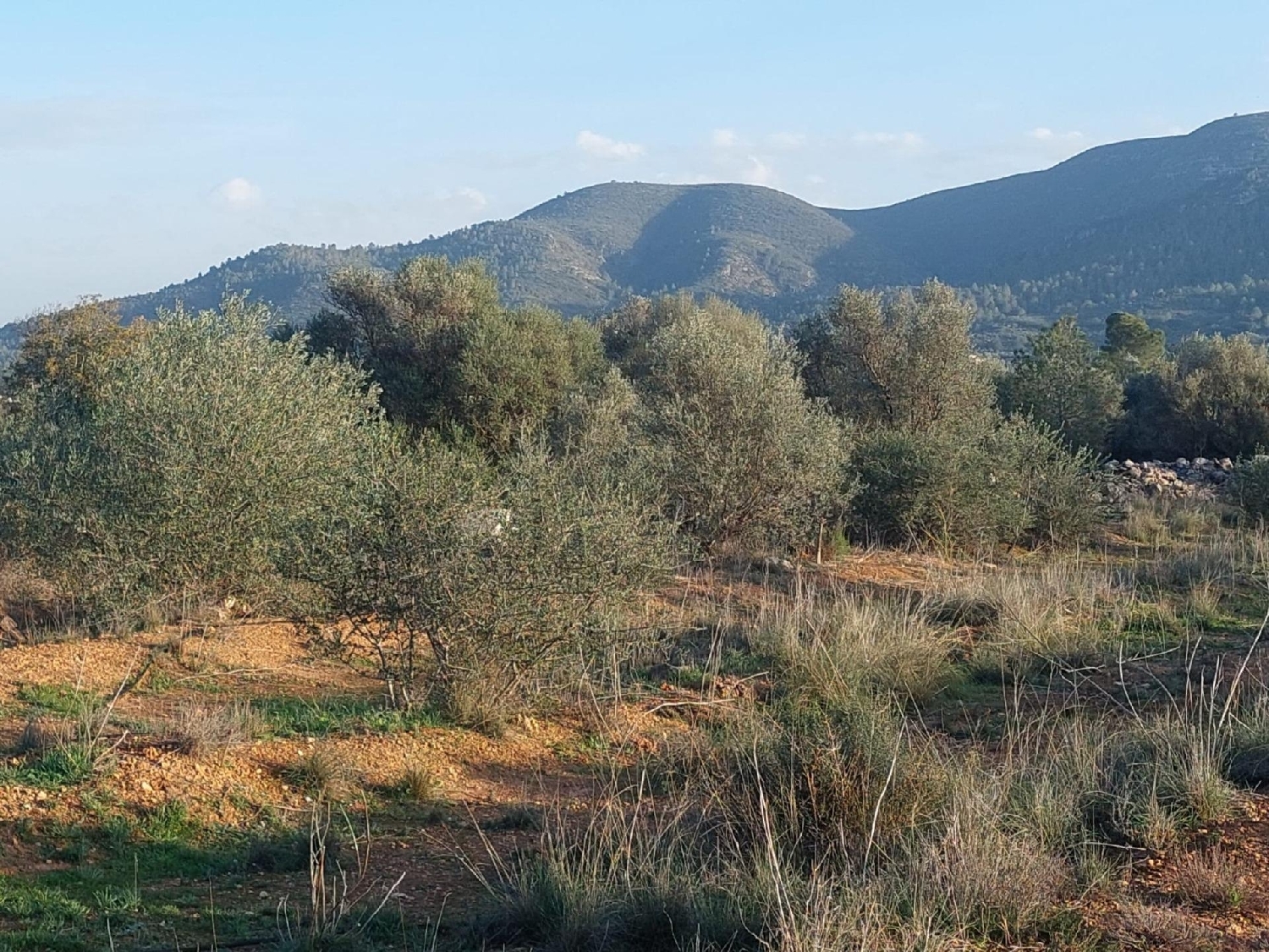 till salu tomt Anna Canal De Navarrés 3