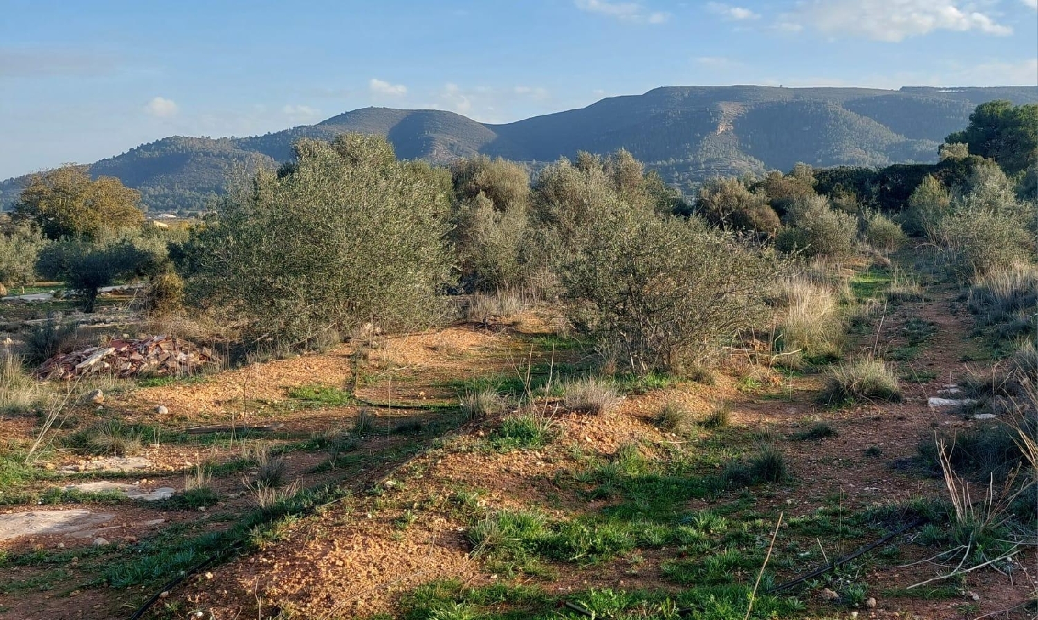  till salu tomt Anna Canal De Navarrés 1
