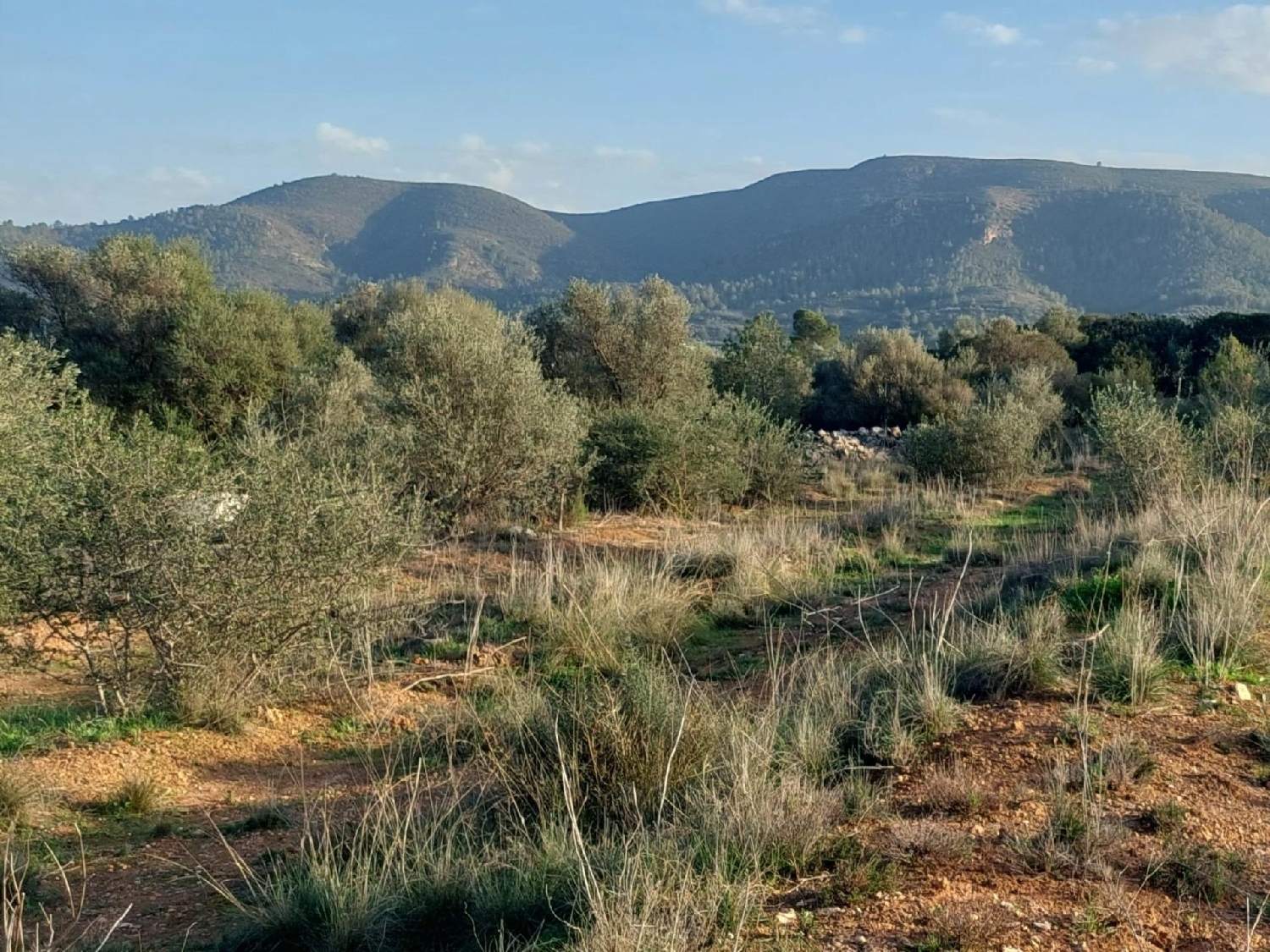 till salu tomt Anna Canal De Navarrés 2
