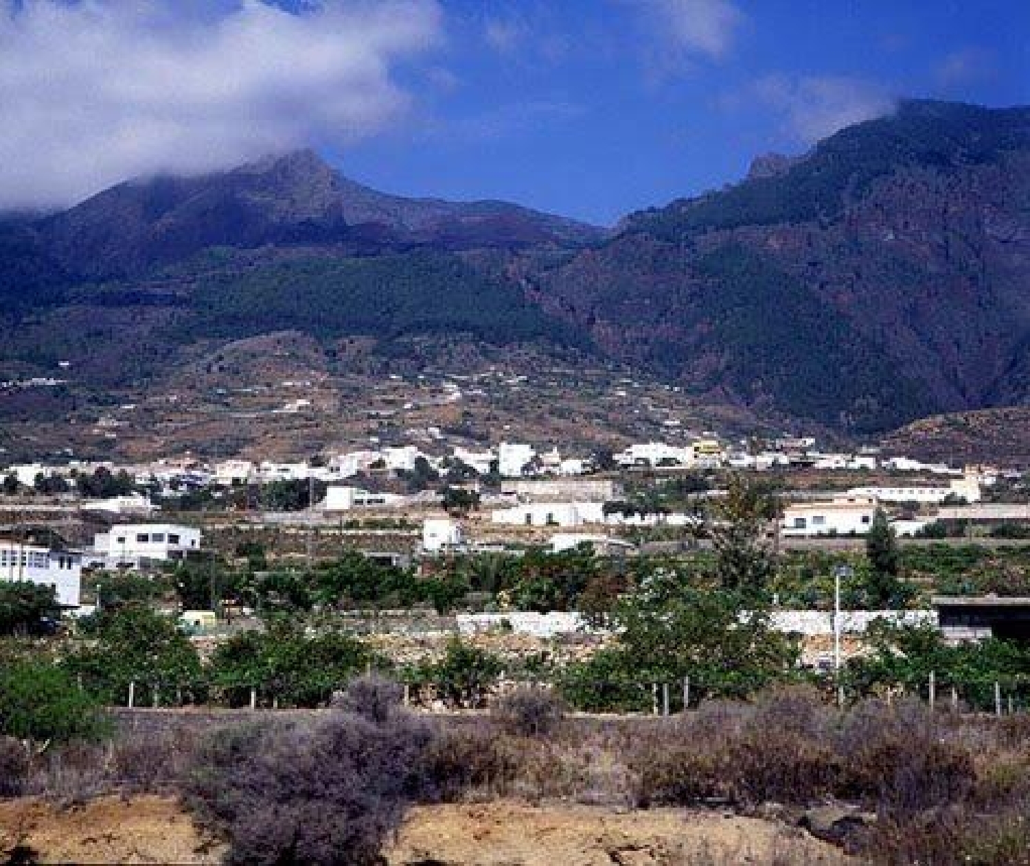  till salu tomt Arafo Zona Sureste 5