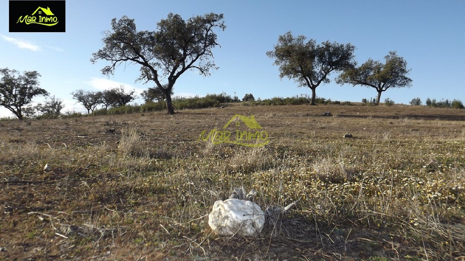  for sale plot Arroyo Sierra De Huelva 4