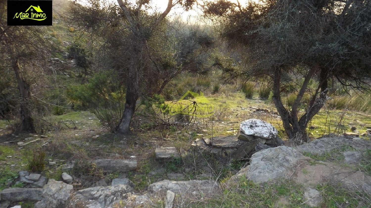  for sale plot Arroyo Sierra De Huelva 7