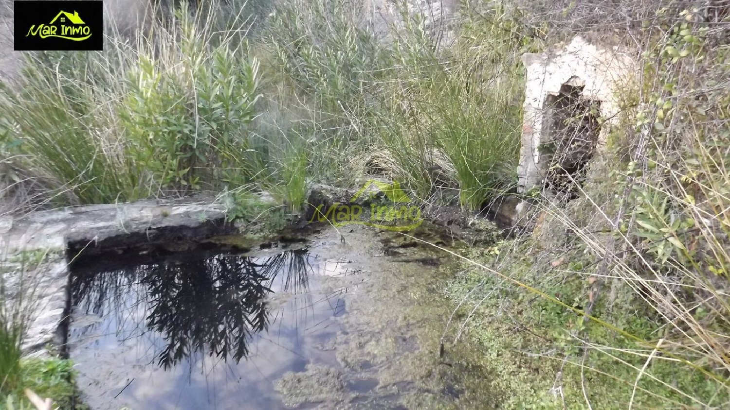  for sale plot Arroyo Sierra De Huelva 1
