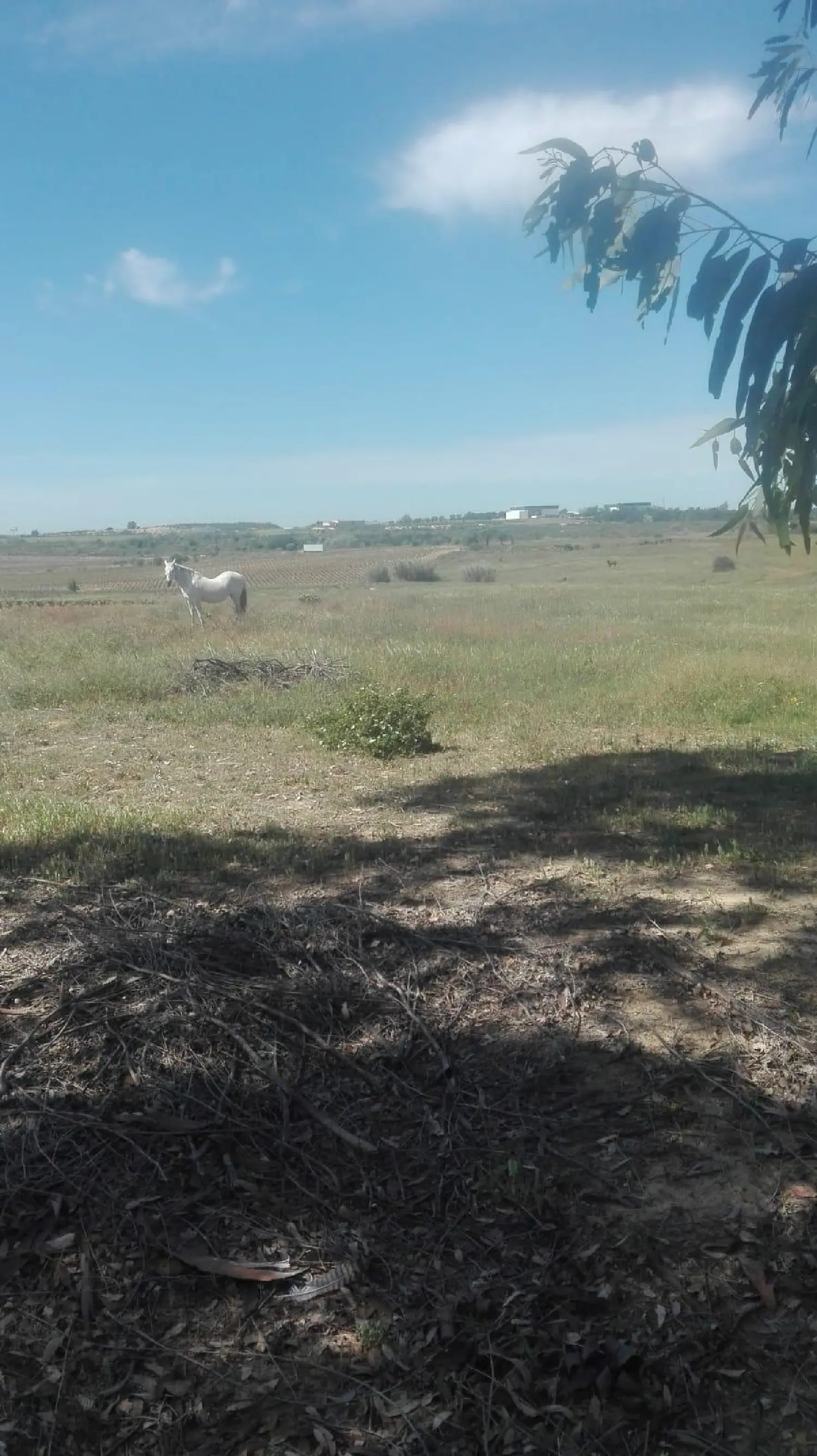 till salu tomt Sierralagos Urb. Sierra Norte 2