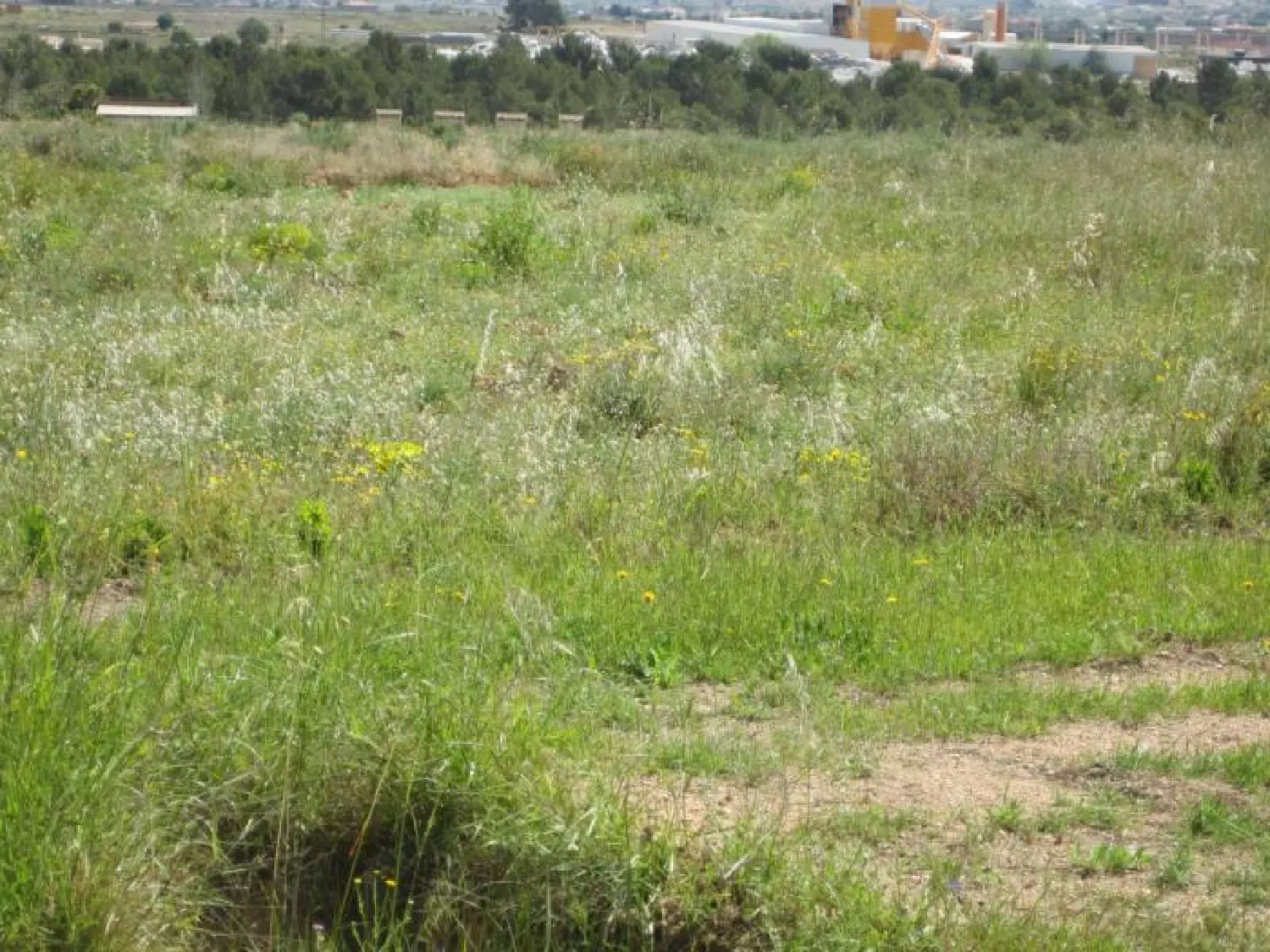  te koop perceel Callosa De Segura Baix Segura 1