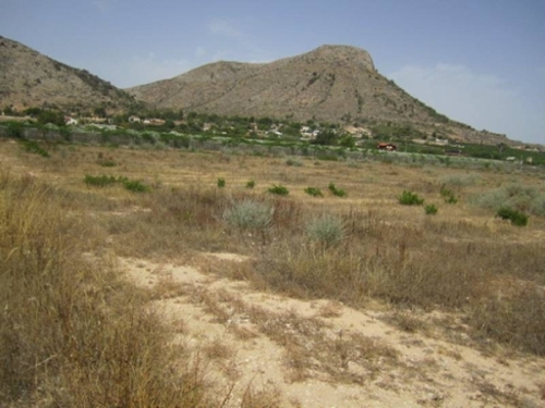 Aspe Vinalopó Mitjà tomt foto 6226686