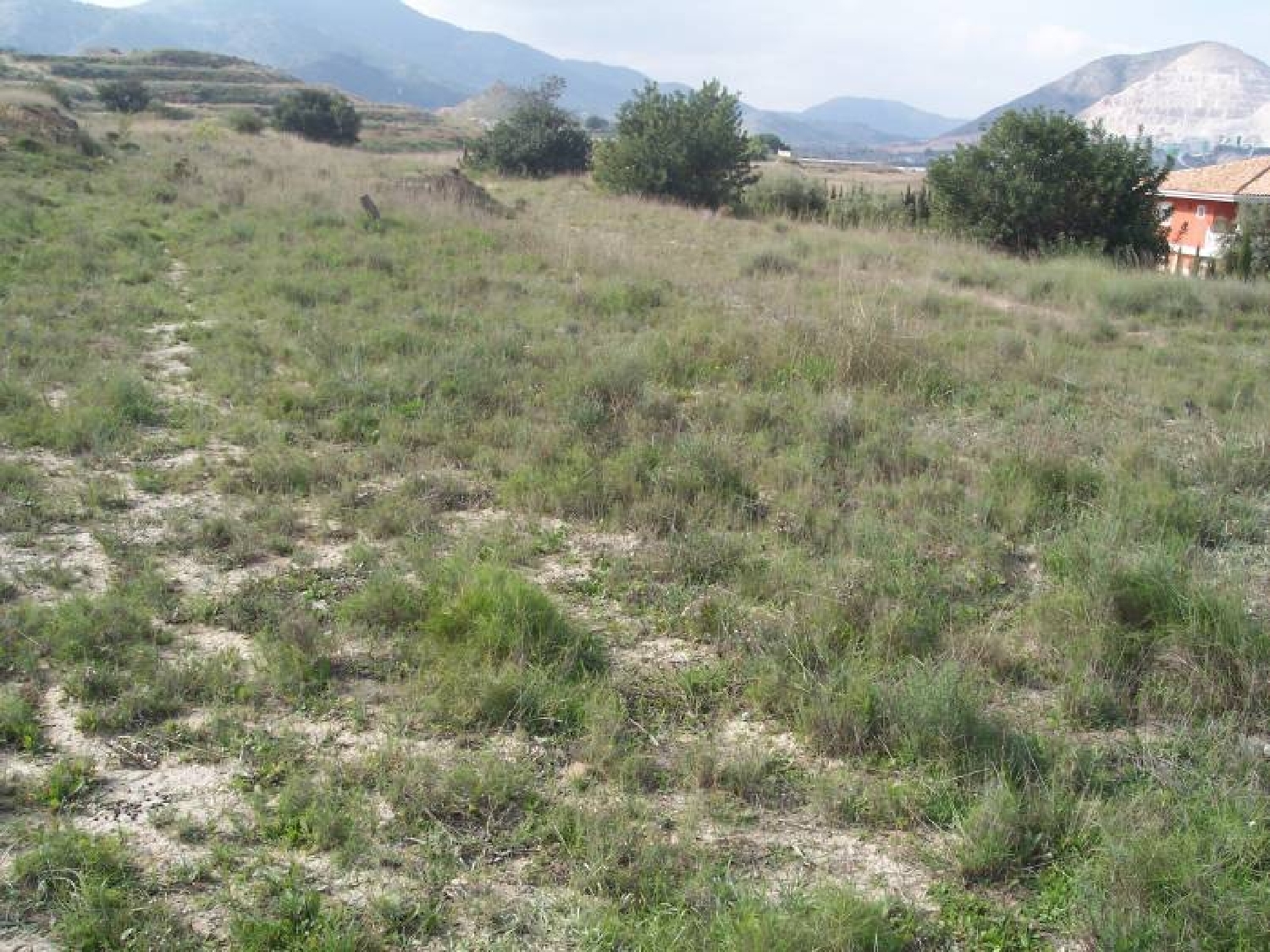 till salu tomt Aspe Vinalopó Mitjà 2