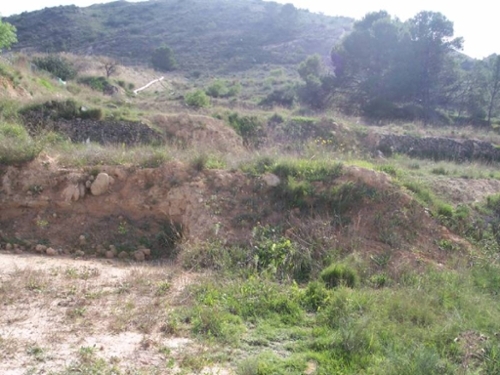 Aspe Vinalopó Mitjà tomt foto 6226696