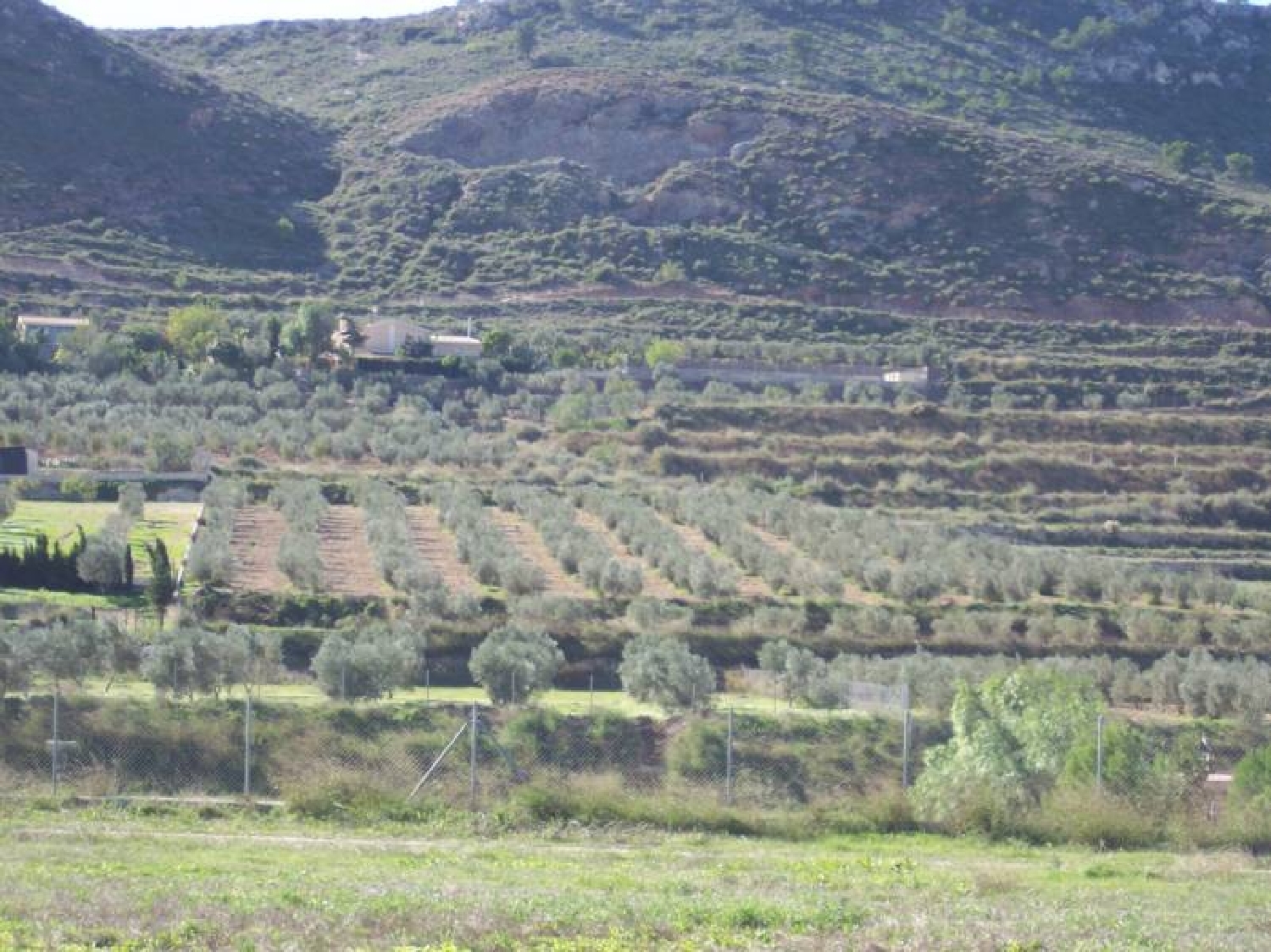 till salu tomt Aspe Vinalopó Mitjà 2
