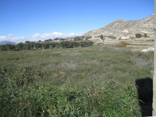 Aspe Vinalopó Mitjà tomt foto 6226724
