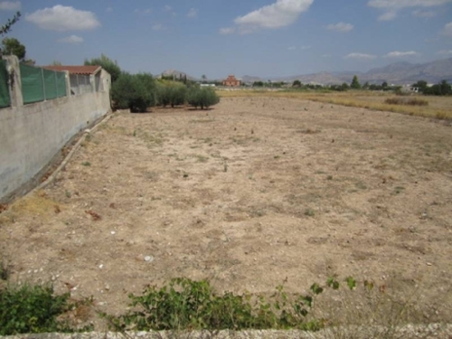 Aspe Vinalopó Mitjà tomt foto 6226729