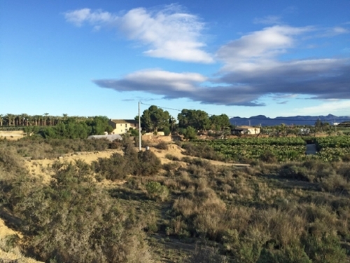 Aspe Vinalopó Mitjà tomt foto 6226777