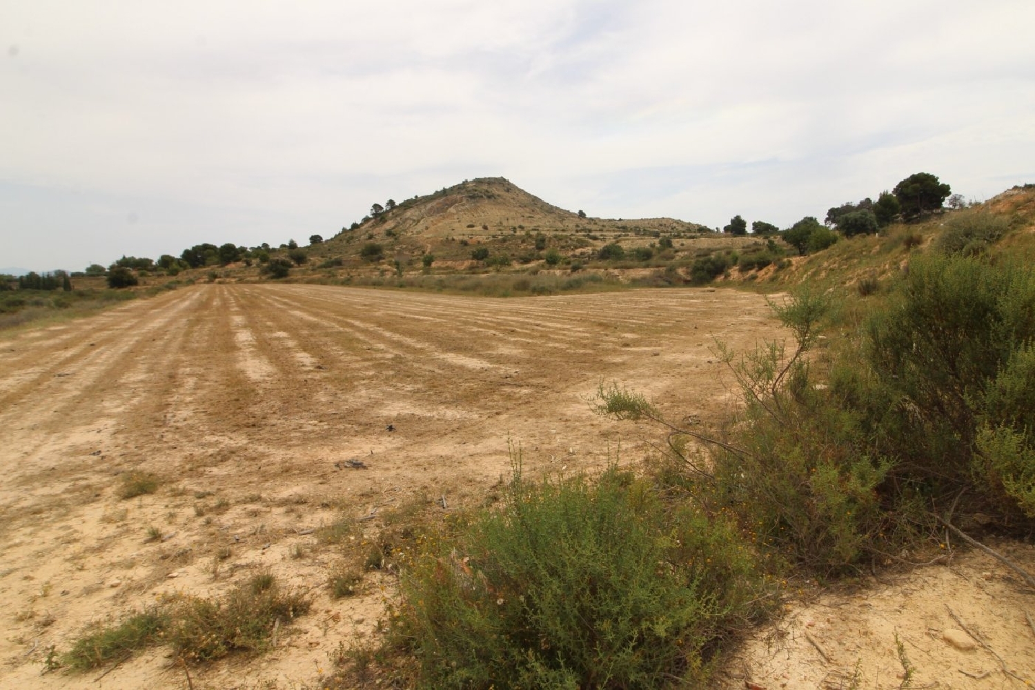  till salu tomt Aspe Vinalopó Mitjà 6