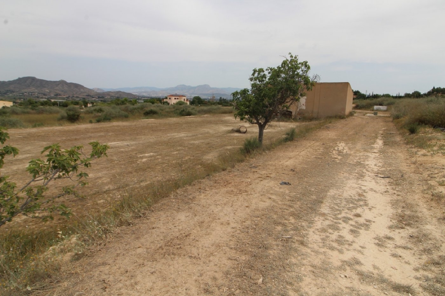  till salu tomt Aspe Vinalopó Mitjà 4