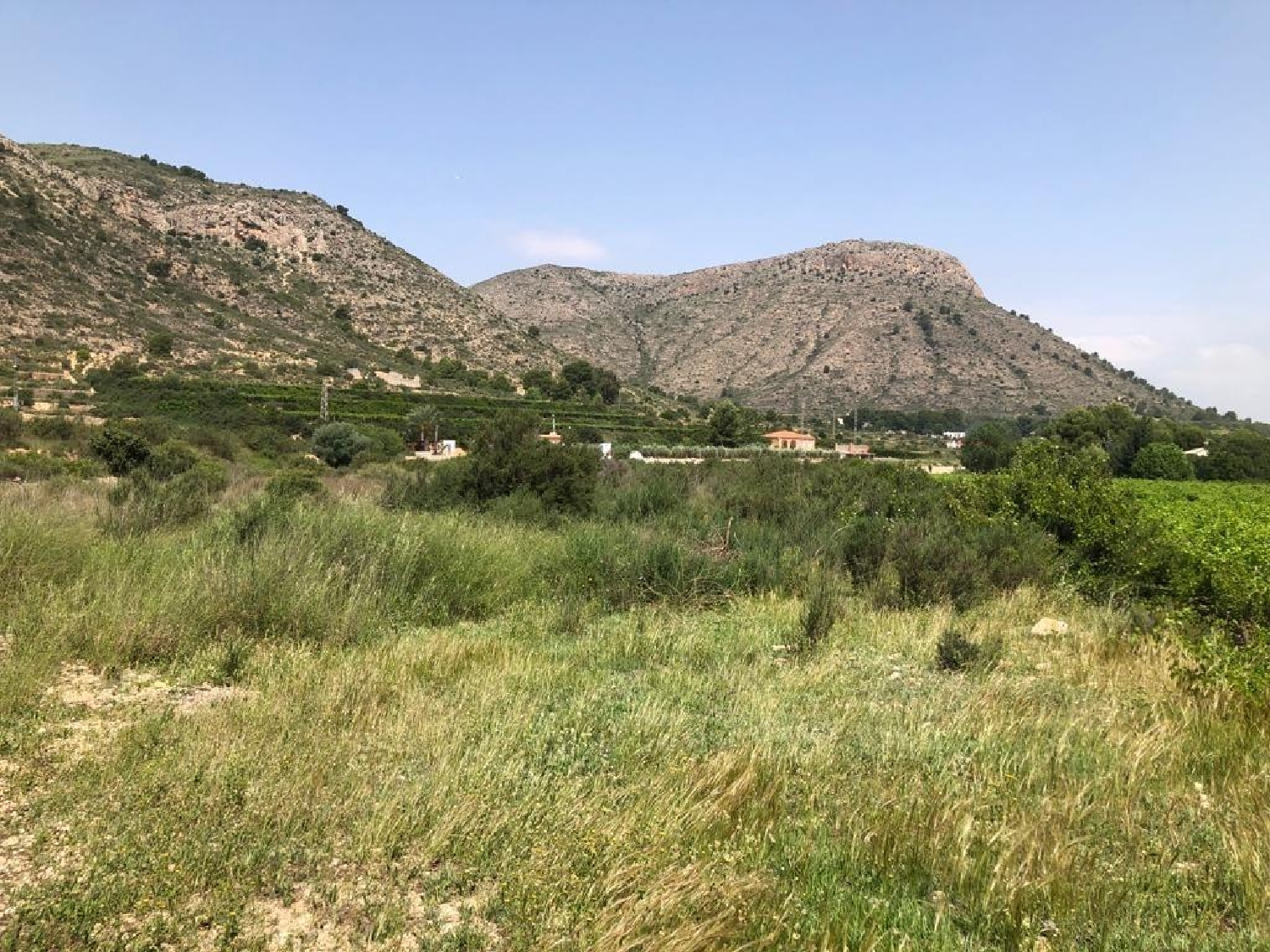 till salu tomt Aspe Vinalopó Mitjà 2