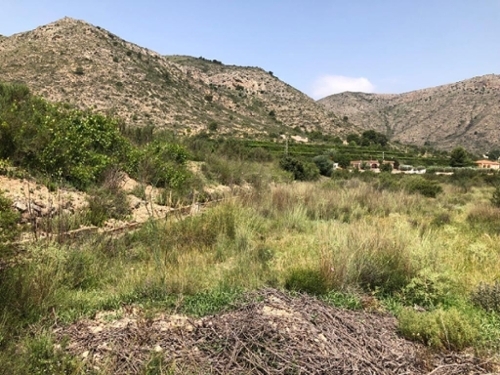 Aspe Vinalopó Mitjà tomt foto 6262944