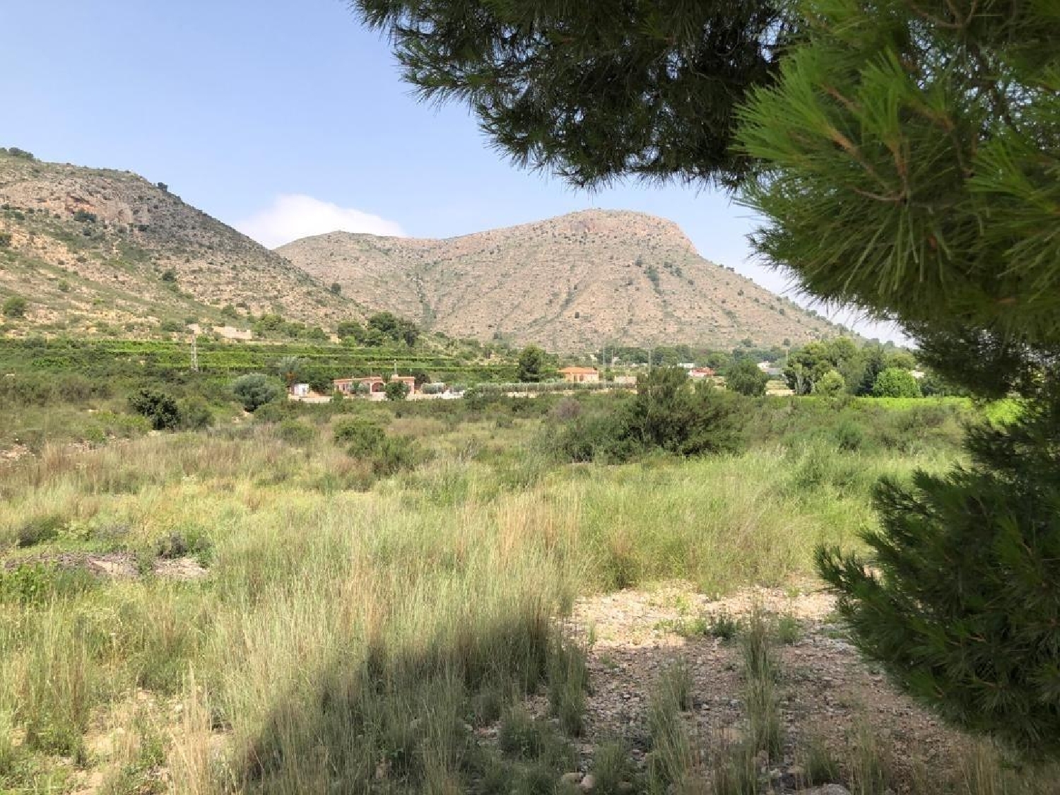  till salu tomt Aspe Vinalopó Mitjà 6