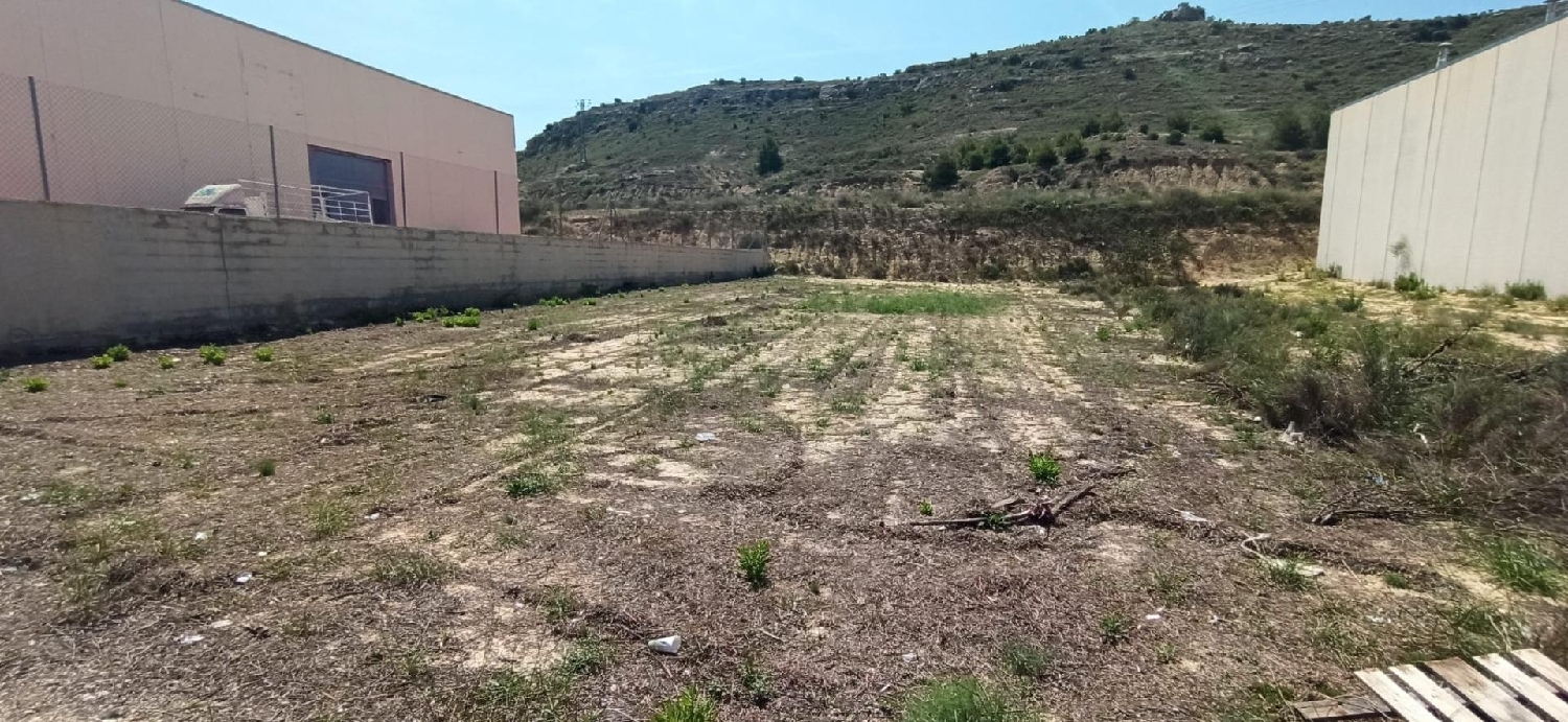  till salu tomt Aspe Vinalopó Mitjà 1