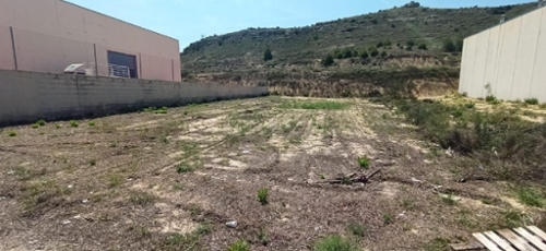 Aspe Vinalopó Mitjà tomt foto 6263017