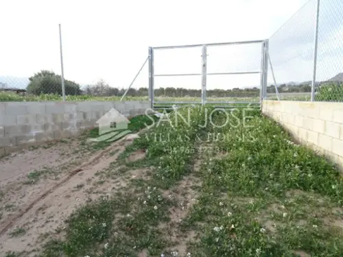 Aspe Vinalopó Mitjà perceel foto 6190967