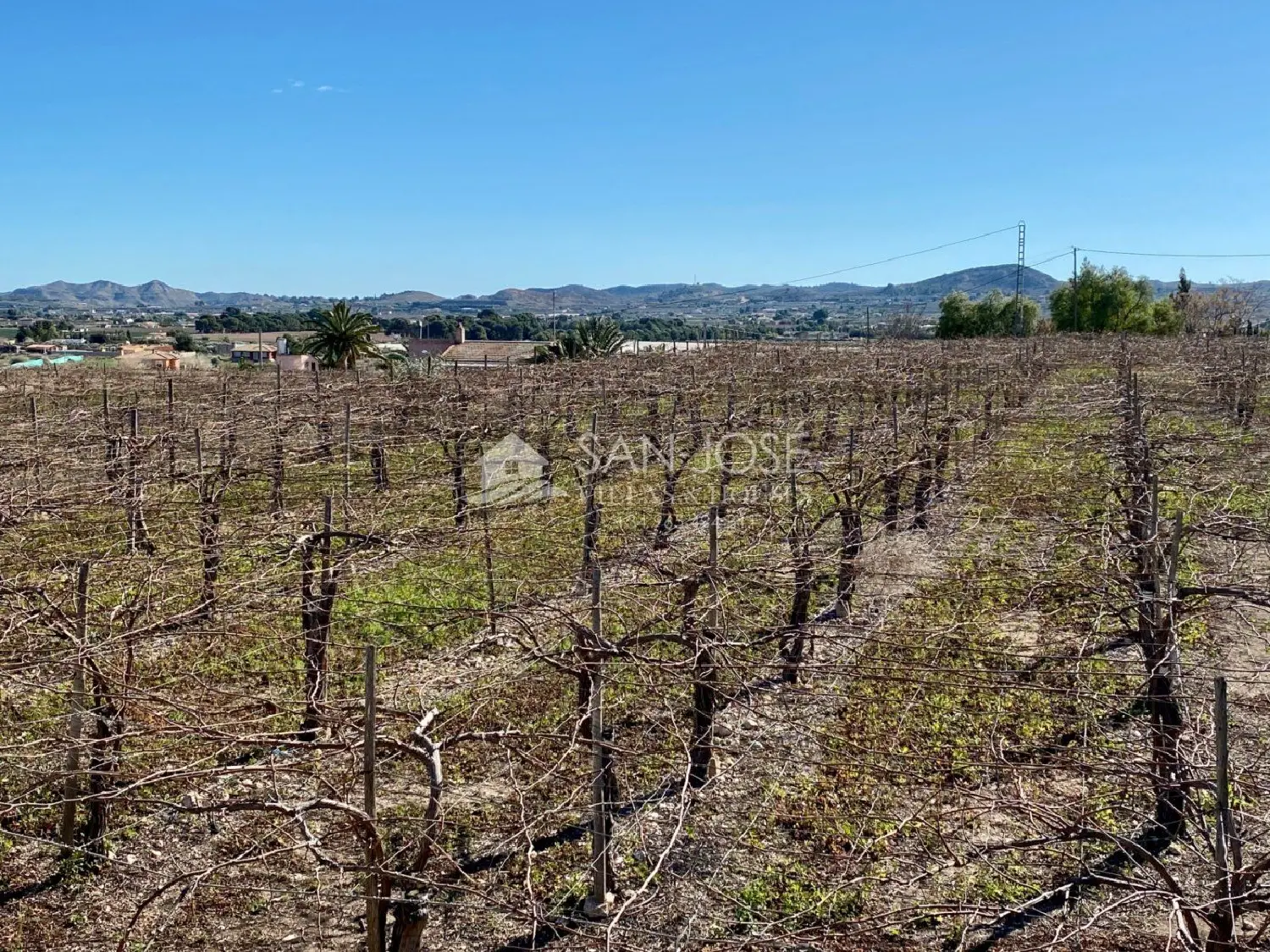 for sale plot Aspe Vinalopó Mitjà 3