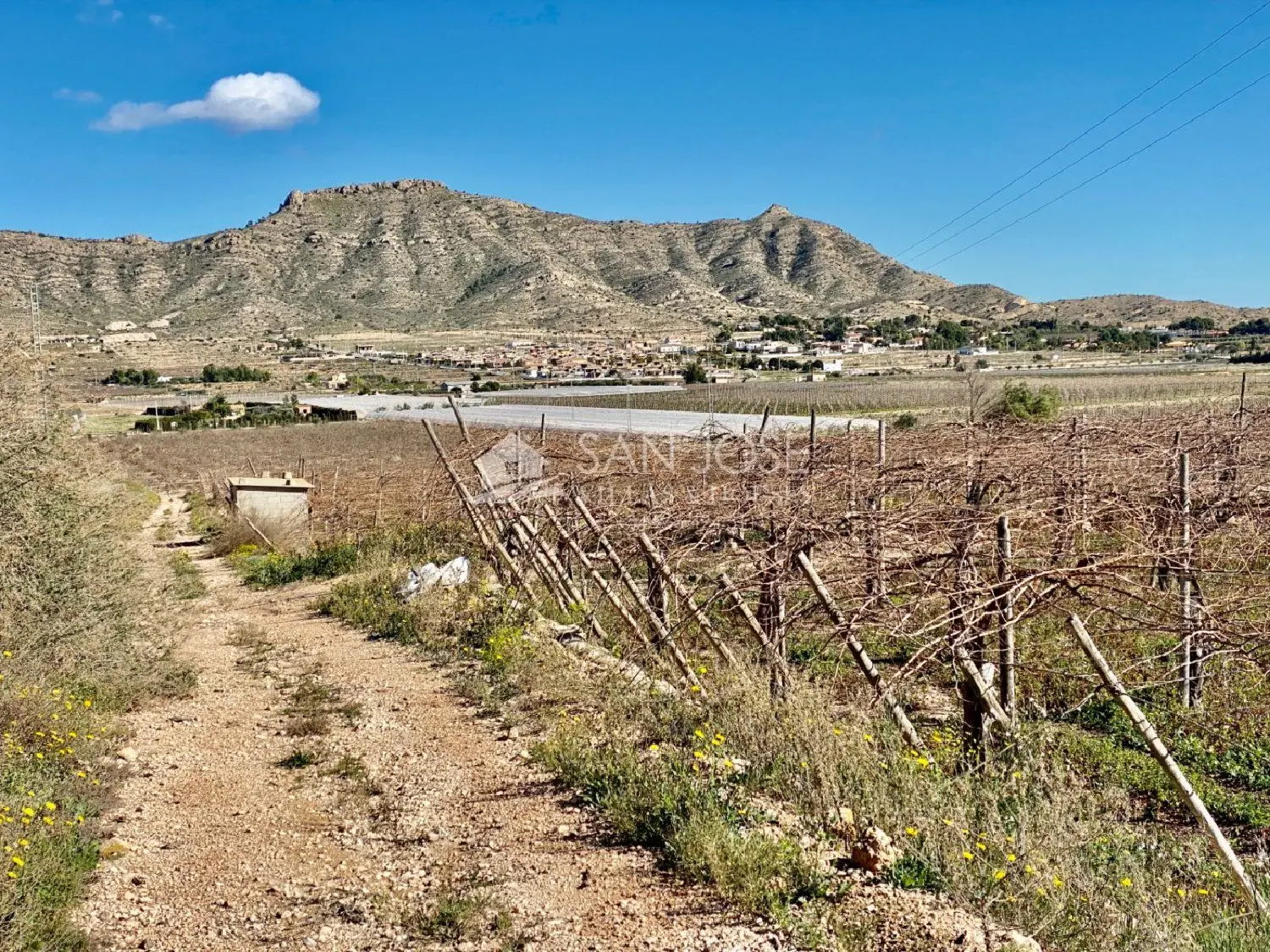 for sale plot Aspe Vinalopó Mitjà 2
