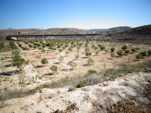 Aspe Vinalopó Mitjà tomt foto 6226961
