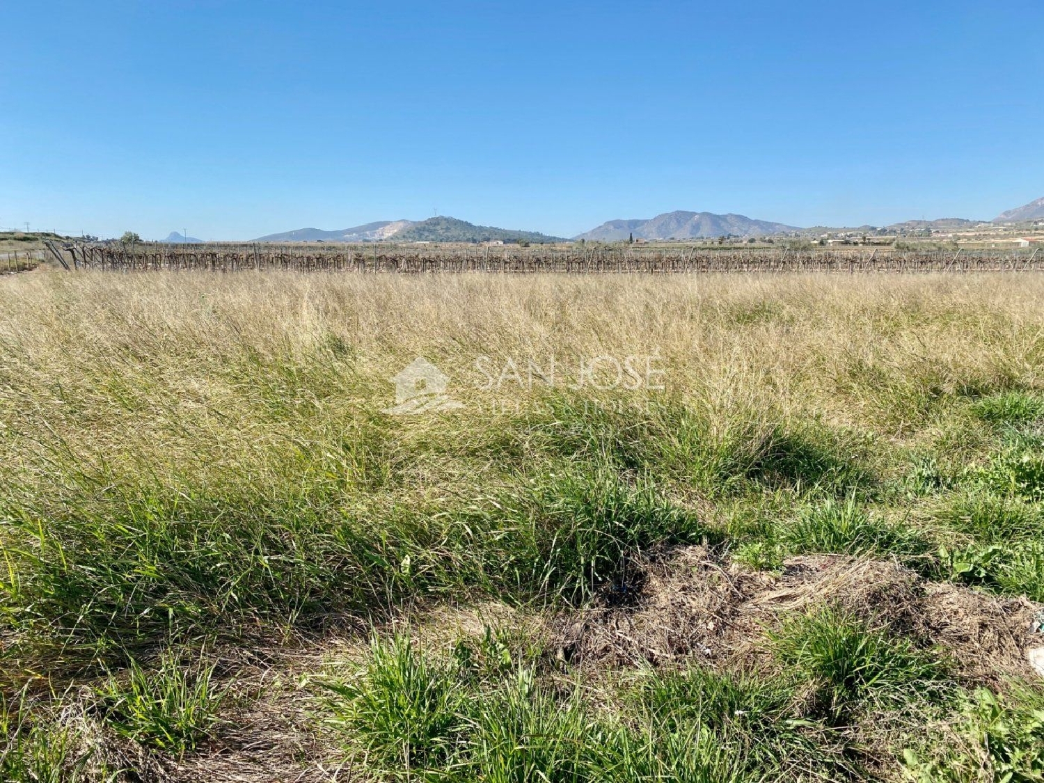  for sale plot Aspe Vinalopó Mitjà 4