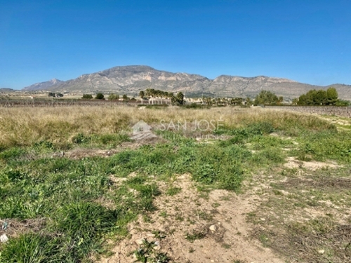 Aspe Vinalopó Mitjà plot foto 6227084