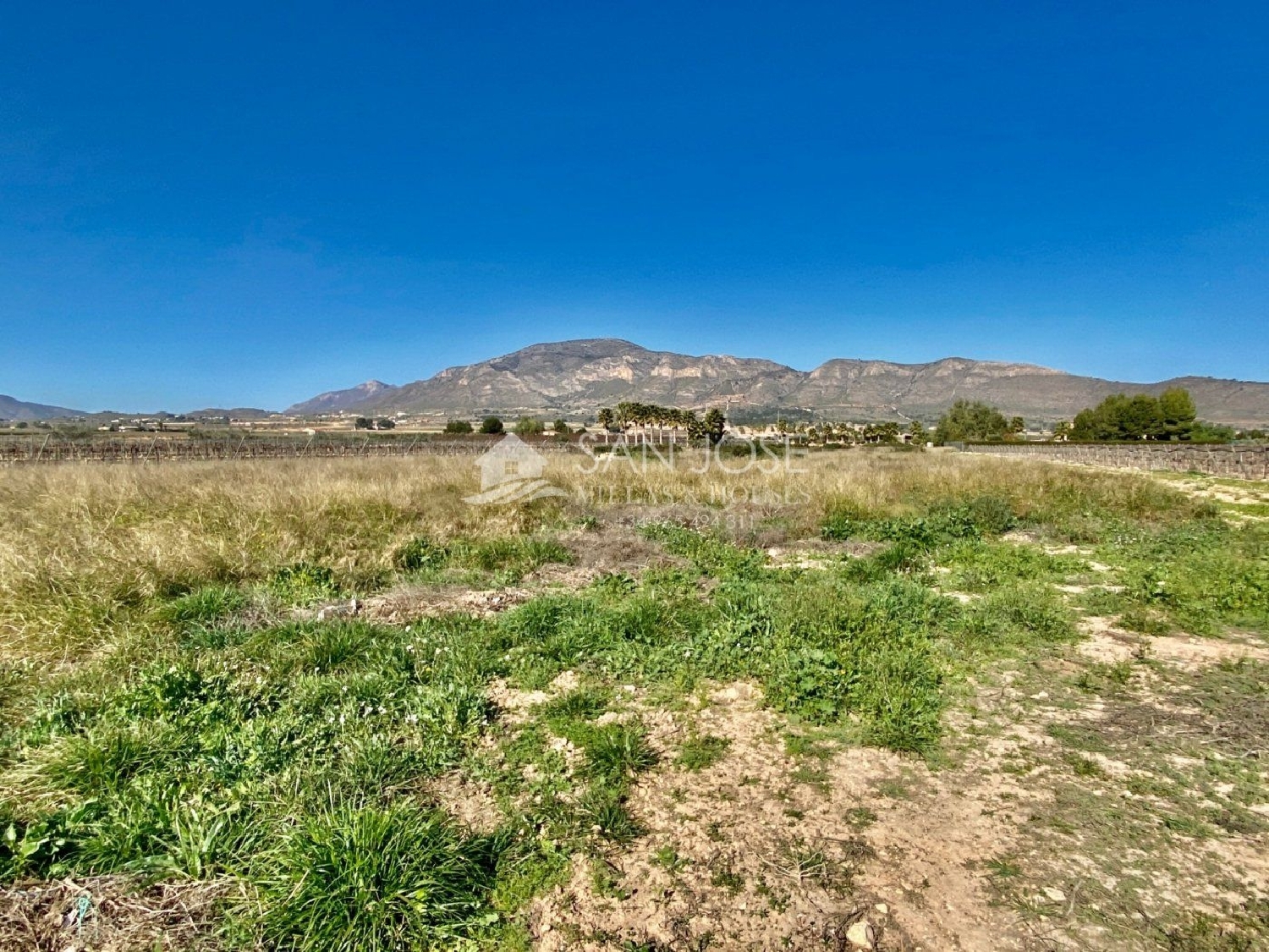  for sale plot Aspe Vinalopó Mitjà 2
