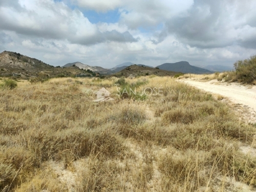 Aspe Vinalopó Mitjà tomt foto 6227235