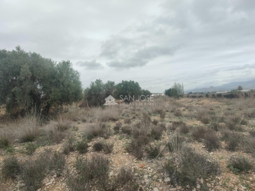 Aspe Vinalopó Mitjà tomt foto 6227443