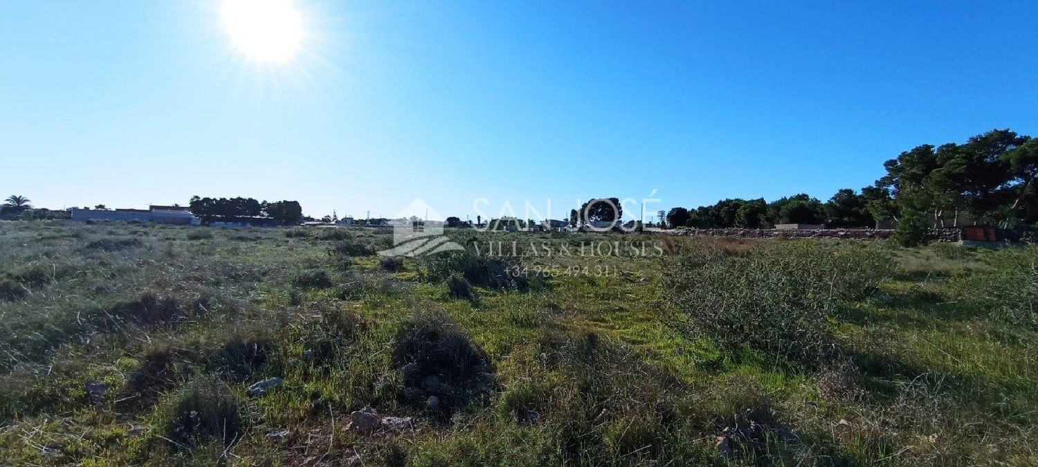 till salu tomt Asprella Baix Vinalopó 3