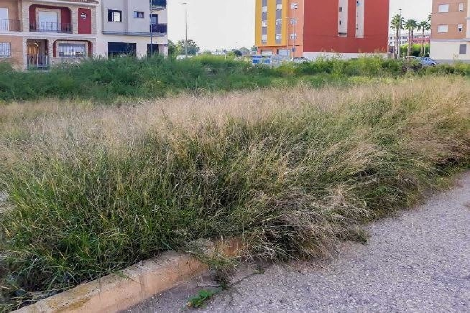  till salu tomt Ausias March Ribera Alta 4