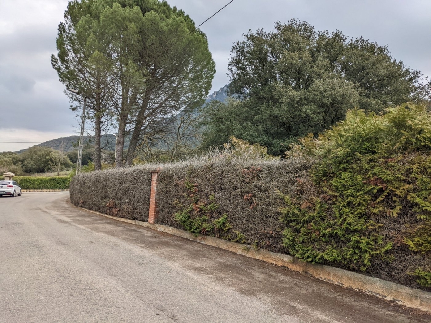  till salu tomt Ayegui Tierra Estella 5