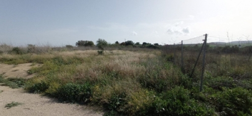 Aziscar Campo De Gibraltar tomt foto 6252655