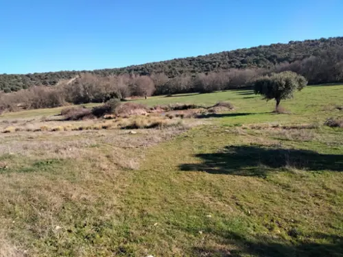 La Huérfana Tierra De Ledesma tomt foto 6193034