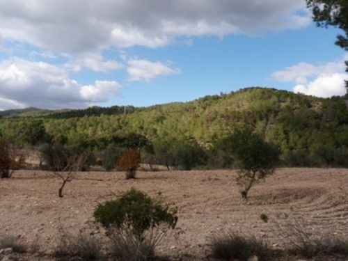 Baños Y Mendigo Huerta De Murcia tomt foto 6250928