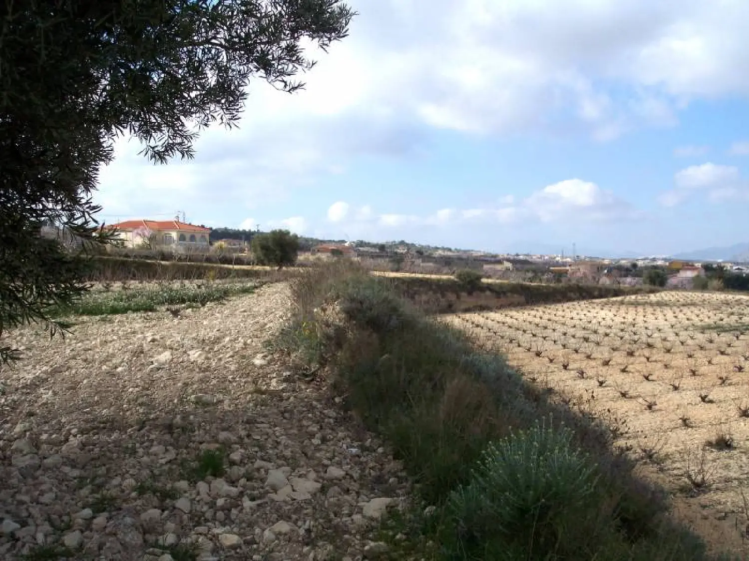 till salu tomt Hondón De Los Frailes Vinalopó Mitjà 2