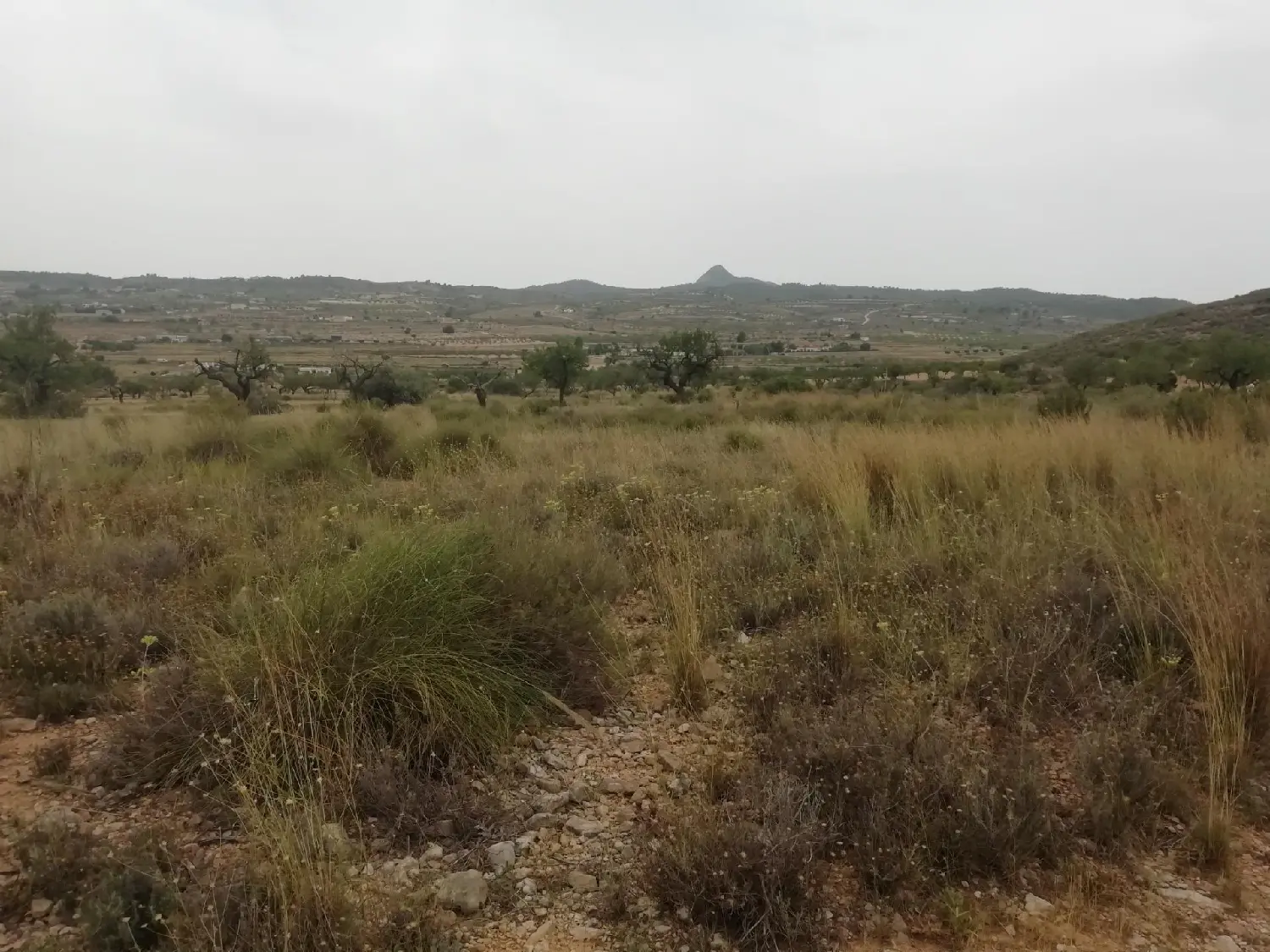 till salu tomt Hondón De Los Frailes Vinalopó Mitjà 2