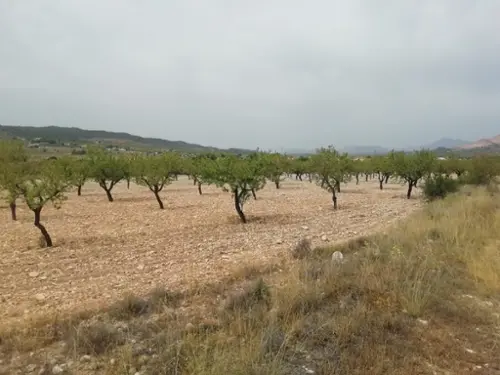 Hondón De Los Frailes Vinalopó Mitjà tomt foto 6190621