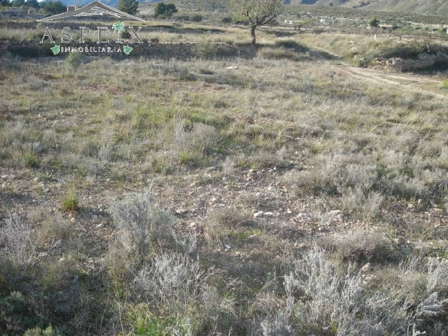 till salu tomt Barbarroja Baix Segura 2