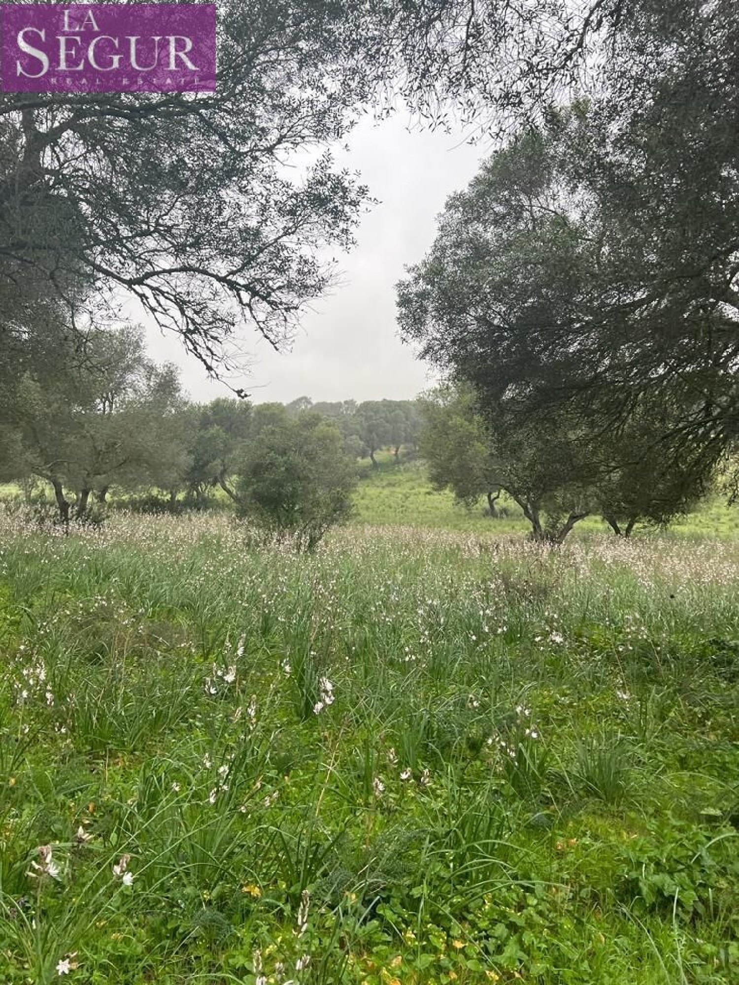  till salu tomt Barbate Janda (La) 8