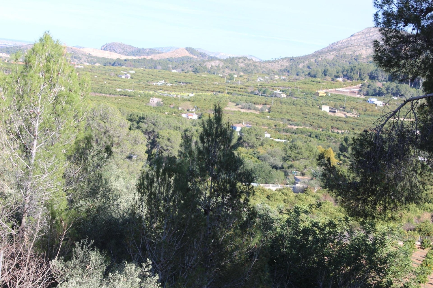  till salu tomt Barraca D'aigues Vives Ribera Alta 8