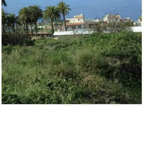 Barrio Antonio Afonso Zona Norte tomt foto 6201231