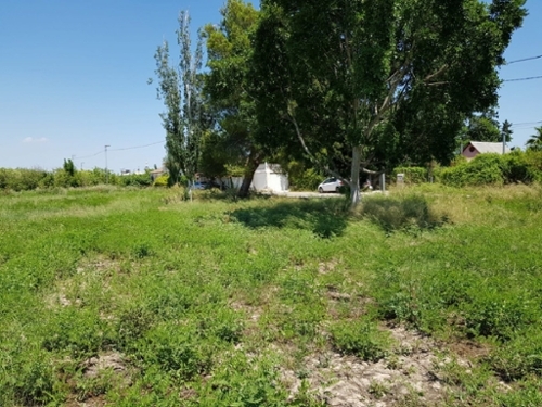 Barrio De La Victoria Huerta De Murcia tomt foto 6223200