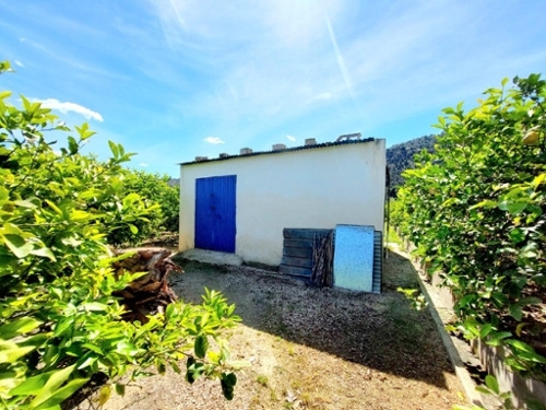 Barrio De La Victoria Huerta De Murcia tomt foto 6223259