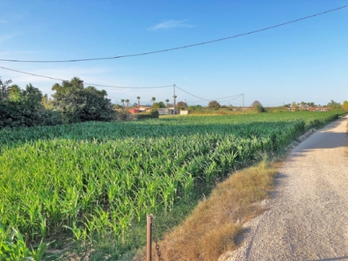 Barrio De Los Dolores Baix Segura tomt foto 6228767