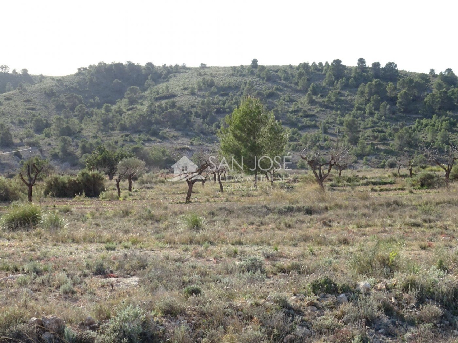  till salu tomt Bayón Vinalopó Mitjà 6